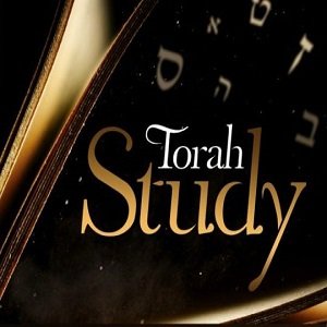     Why Study Torah?